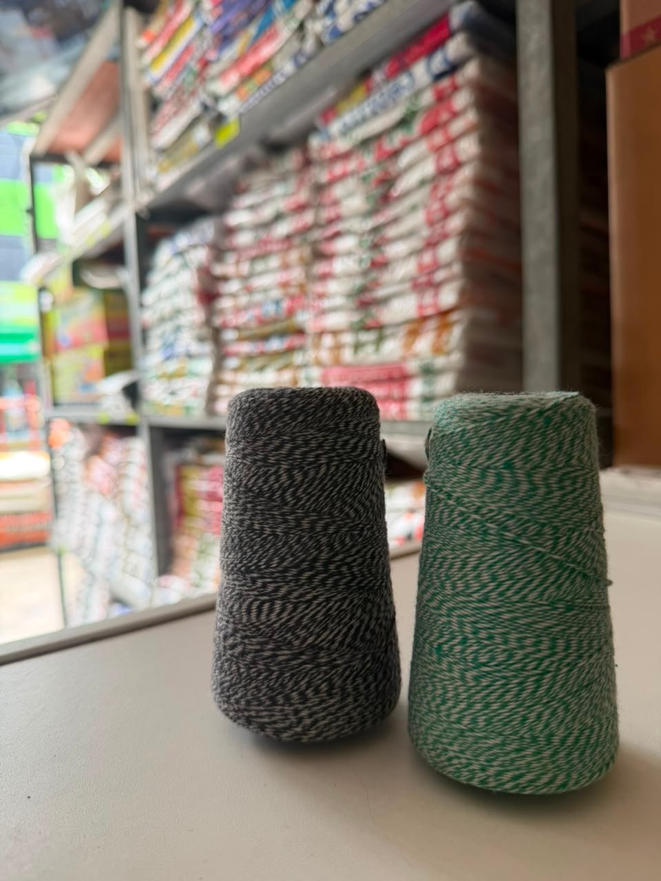 Cono bicolor